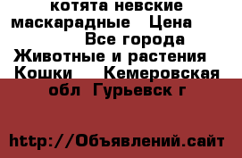 котята невские маскарадные › Цена ­ 18 000 - Все города Животные и растения » Кошки   . Кемеровская обл.,Гурьевск г.